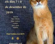 Cartel Exposición Felina